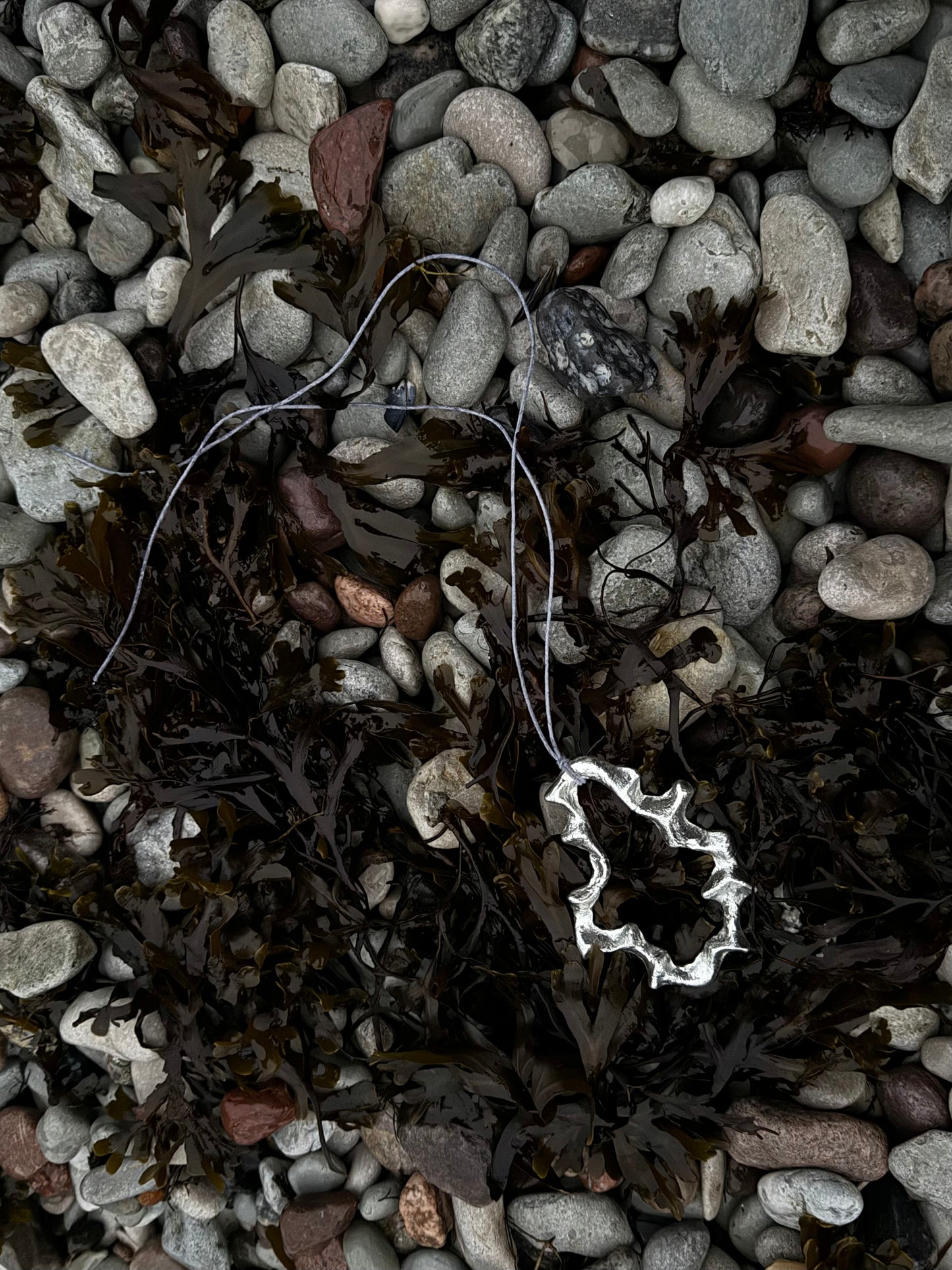 Fossil Necklace 07